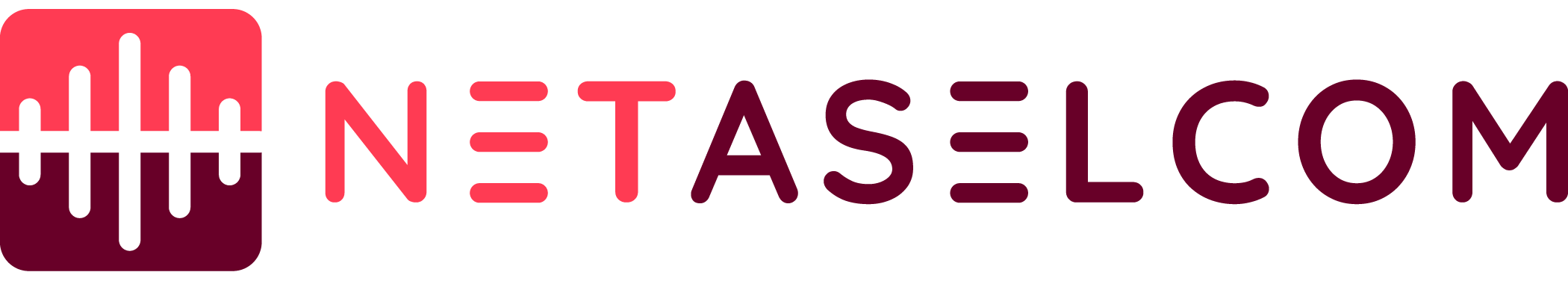 Netaselcom Logo